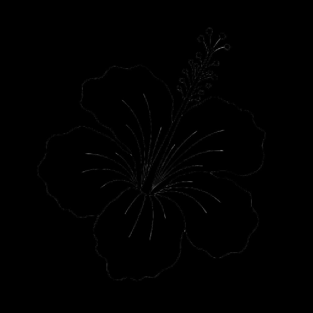 Pure Black Outline Hibiscus Flower — hibiscus clip art