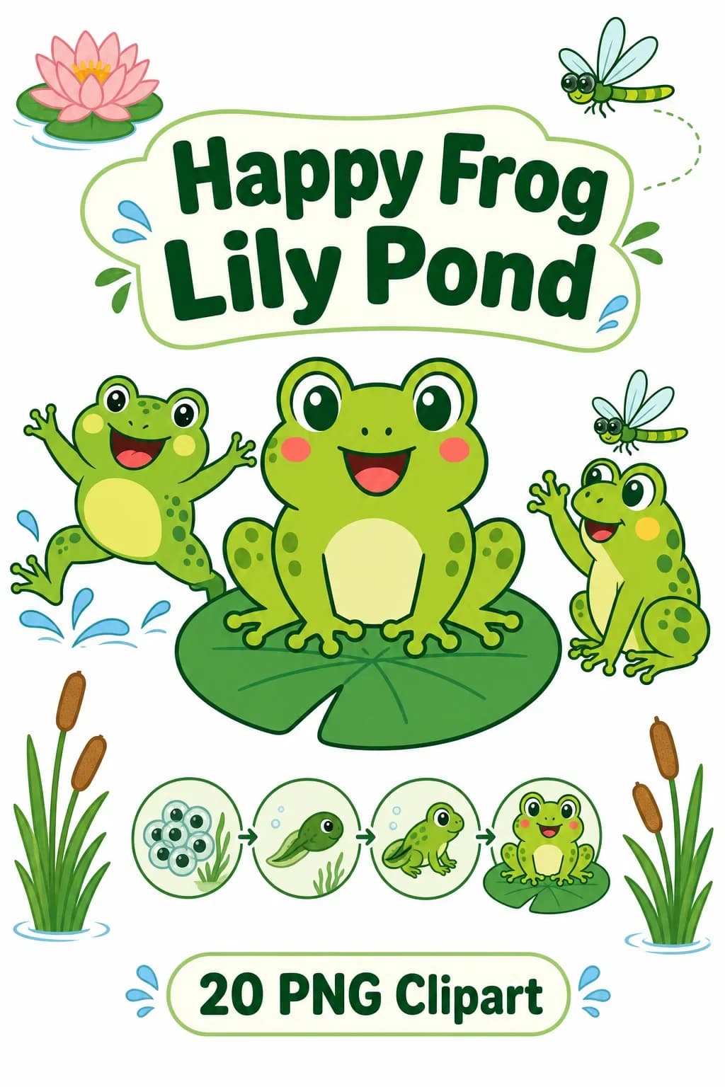 20 Happy Frog Life Cycle Clipart PNGs – Lily Pond Classroom Set — pack cover